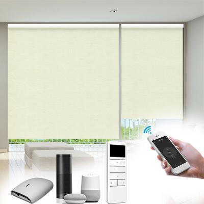 China Plain Automatic Roller Shades Electric Blackout Blinds Chain Control for sale