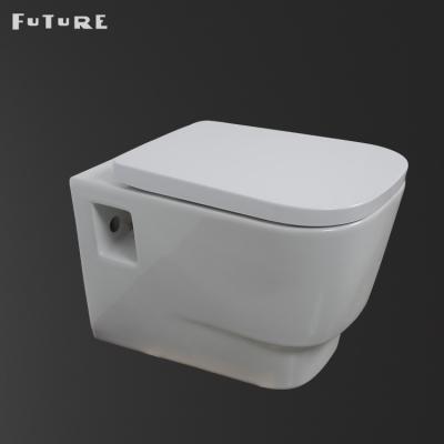 China Eco Friendly Wall Hung European Water Closet 350mm Floating Toilet Seat for sale