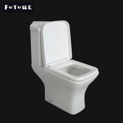 China Space saving Ideal Standard Close Coupled Toilet Washdown Water Closet ISO9001 for sale