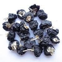 China New Amorberry Wild goji bery/ wild wolfberry /Qinghai Black goji for sale