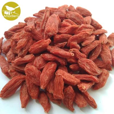 China Amorberry China NingXia dried Goji berry for tea or medicine use OEM Goji barries nutrient supplements Bulk wholesale for sale