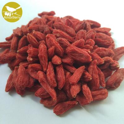 China Himalayan Goji Berry new crop chinese goji dired berry top quality ningxia goji Supplier for sale