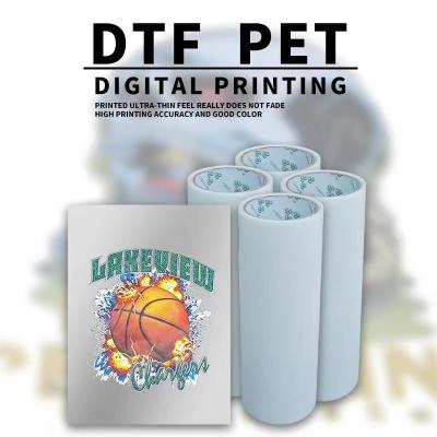 China Printer Transfer Film Double Side Printing Hot Peel Roll Dtf Pet Film Better Printer for sale