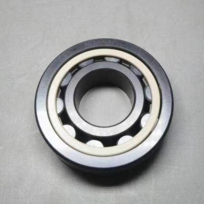 China SSiC Ceramic Roller Bearings NU 204 Balls PEEK Cage 20×47×14mm for sale