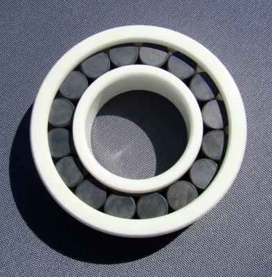 Chine Full Cylindrical Ceramic Roller Bearings Si3N4 SSiC ZrO2 à vendre