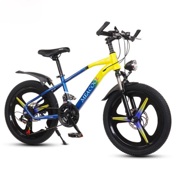 Quality Multicolored 20in Lightweight Mountain Bike For Children'S Outdoor Adventures for sale