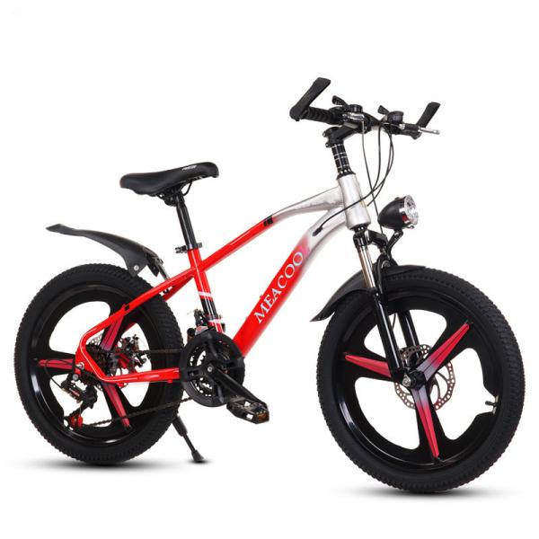 Quality Multicolored 20in Lightweight Mountain Bike For Children'S Outdoor Adventures for sale