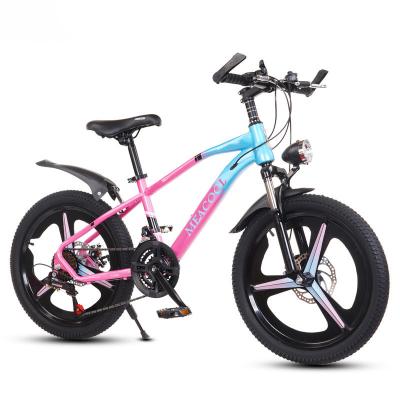 China Multicolored 20in Lightweight Mountain Bike For Children'S Outdoor Adventures for sale