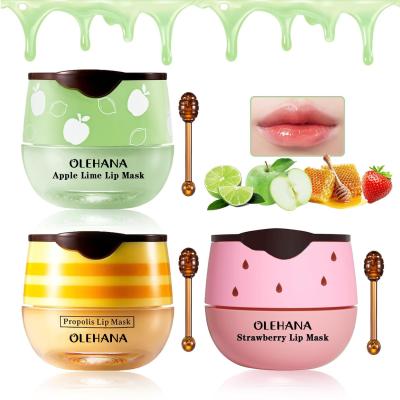China Bee Balm Lip Balm Honey Pot Honey Strawberry Lip Balm Sleeping Lip Mask Silky Hydrating Bee Lip Balm for sale
