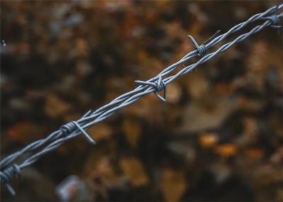 China Yard Protection Galvanized Steel Barbed Wire 15mm 14*16 Gauge for sale