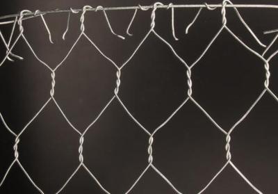 Cina Tipo esagonale della maglia del collegamento a catena della rete metallica del pollo - calibro di cavo di 3.5mm - di 2 in vendita
