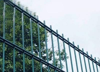 China Gardenhouse 6/5/6 Metal Yard Fence Double Bar 1.2mm Post for sale
