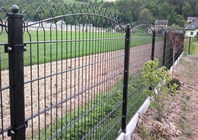 China Iso 2d 868 Fencing Twin Bar Steel Welded Wire Mesh Residential for sale