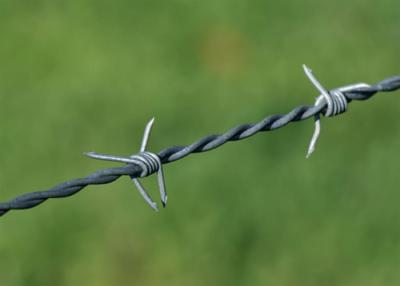 China Double Strand Metal Barbed Wire 14*14 Gauge Electro / Hot Dipped Galvanized for sale