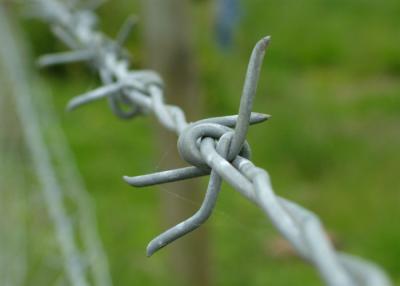 China Galvanized Safety Farm Single Twist Barbed Wire 14 Gauge Protective High Tensile for sale