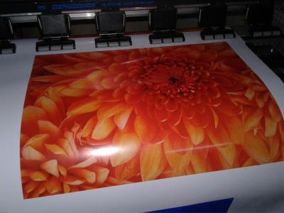 China Flad manufacturer wholesale Self Adhesive Vinyl for Car Wrapping for sale