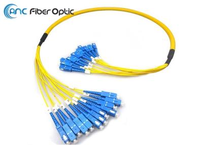 China 12F 24F Fiber Optic Patch Cord for sale