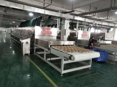 China 50/60Hz Frequency Microwave Vacuum Drying Equipment with 1-10T/h Capacity à venda
