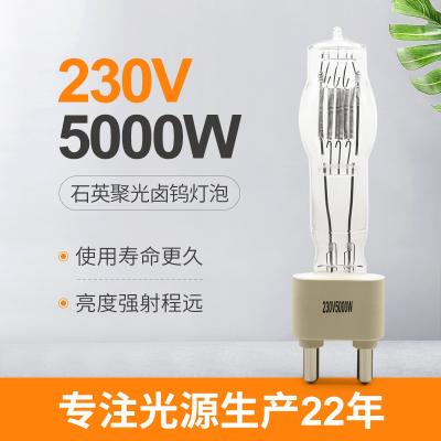 China 230V 5000W G38 Stage Quartz Lamp Bulb Studio Entertainment Wedding Bar for sale