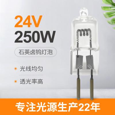 China Low Voltage Medical Light Bulb G6.35 24V 250 Watt Halogen Bulb Led Replacement for sale