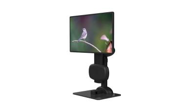 China Personal LCD Monitor Stand Aluminum Alloy Lifting Swivel Computer Stand for sale