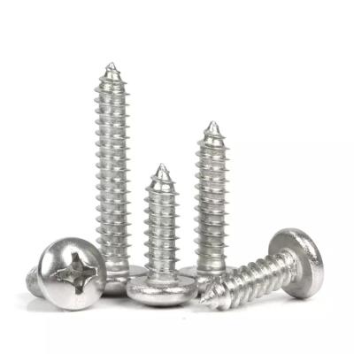 China High 304 Performance Small Self Tapping Metal Screws Stainless Self Tappers for sale