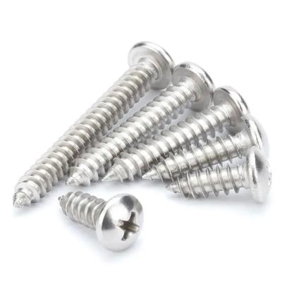 China Stainless Steel Cross Pan Head Tapping Screw Metal Screw Self Tapping Screw Metal Fastener for sale