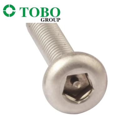 China Stainless Steel Pentagonal Witn Pin Anti-Theft Bolt Security Bolts For Doors à venda