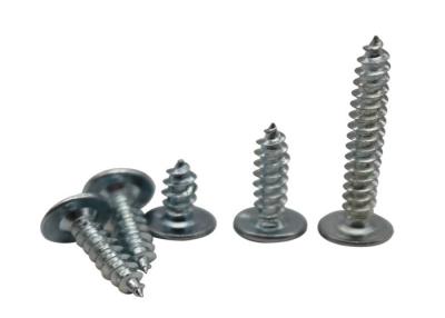 China SGS Self Tapping Thread SS304 Self Tapping Steel Bolts for sale