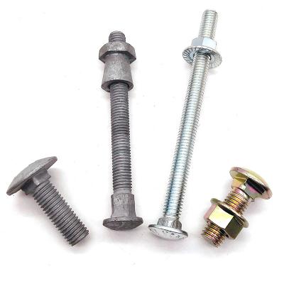 China ASME B 18.2.1 Stainless Steel SS304 SS316 Carbon Steel Plated Carriage Bolt for sale