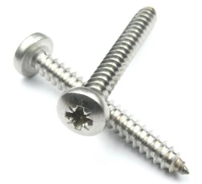 China Stainless Material Non-Standard Customized Self Tapping Self Drilling Screws for sale