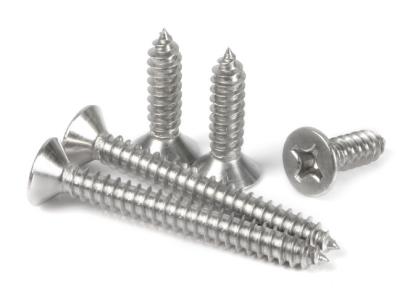 China Ss304 Self Tapping Screws Stainless Steel Self Tapping Screws for sale