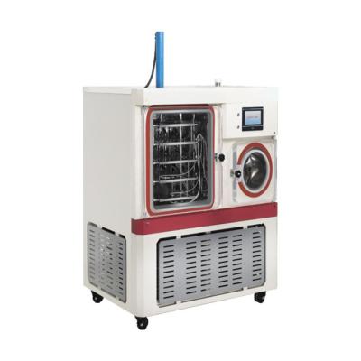 China Tipo farmacêutico piloto Freeze Dryer da glândula da máquina do Lyophilization do gelo à venda