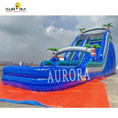 China Blue Dual Lane Inflatable Water Slide PVC Kids Backyard Inflatable Slide for sale