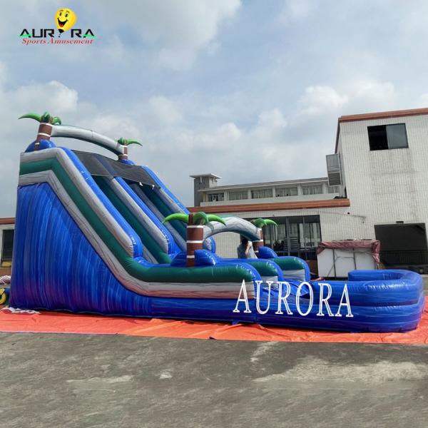Quality Blue Dual Lane Inflatable Water Slide PVC Kids Backyard Inflatable Slide for sale