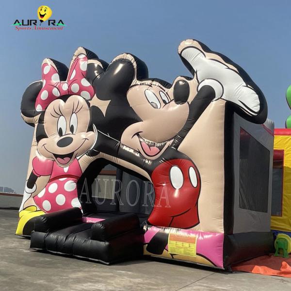Quality Cartoon Character Inflatable Adults Bouncy Castle Kids PVC Bouncy Castle for sale