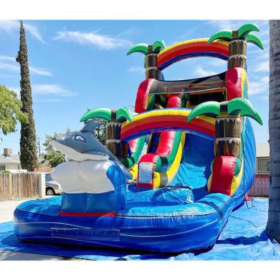 China Water Inflatable Slide Jumping Slide Party Pvc 18ft Dolphin Water Slide For Pool for sale