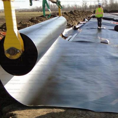 China 0.5mm 0.75mm Geomembrane HDPE Fishfarm Pondliner for Aquacultur Chemical Refinery for sale