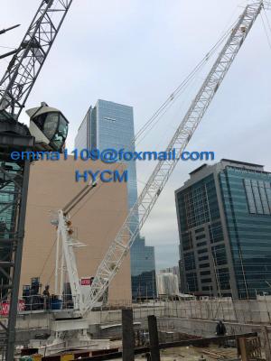 China 12t Luffing Derrick Crane with VFD Schneider Inverter Control for 200m Building Height for sale
