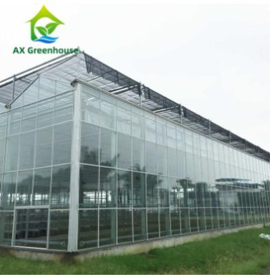 China Automatic Agricultural Glass Greenhouse HDG Steel Turnkey Hydroponic Greenhouse for sale