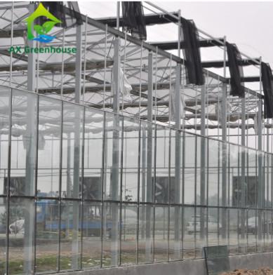 China Commercial Tempered Glass Venlo Type Greenhouse Multispan For Agricultural for sale