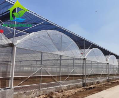 China Multi Span Cucumber Plants Greenhouse PO Film 20m 100m Length for sale