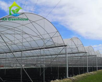 China 200micro PO PE Plastic Film Greenhouse Four Seasons Green House 6m 12m Span for sale
