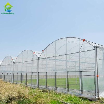 China Accesorios agrícolas del invernadero de la película del PO del palmo multi plástico comercial en venta