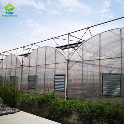 China Hot Dip Galvanized Steel Frame Multi Span Greenhouse For Tomatoes And Cucumbers for sale