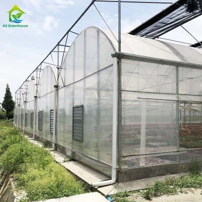 China Heißes galvanisiertes Stahlplastikfilm-Gewächshaus für landwirtschaftliches zu verkaufen