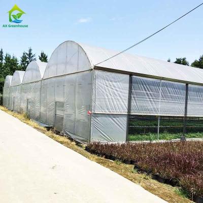 China Invernadero industrial comercial agrícola de la película plástica con los sistemas completos en venta