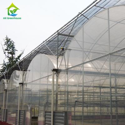 China 200 Micro Plastic Film Greenhouse Multi Span Vegetable Growing Indoor Greenhouse Te koop