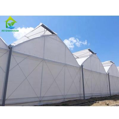 China Hot Galvanized Steel Structure Plastic Film Greenhouses Multi Span Agricultural for sale