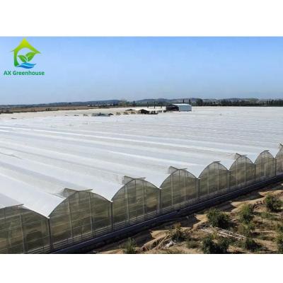 China Tunnel Tomato Cooling System Multi Span Greenhouse Agriculture Commercial Te koop